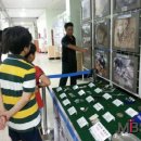 마곡초등학교 이미지