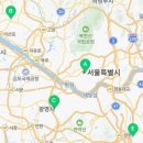 가산점피에르가르뎅셔츠 이미지