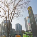 홋카이도부타동스미레