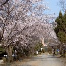 상양관광농원 이미지