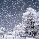 DS휘트니스 이미지