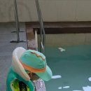 모블리펜션 이미지