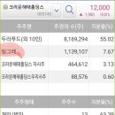 돌고래홀딩스 이미지