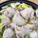 닭칼친구 이미지