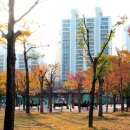 중동공원 이미지