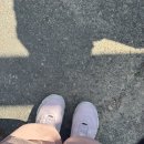 전진 타이어 | ⛰️진주 | 월아산 청곡사~장군봉 등산 초보의 후기