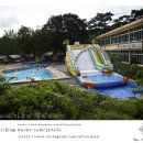 숲들내캠핑장 이미지