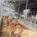 만금농장 이미지