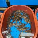 뮤즈 펜션 이미지