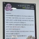 청대 타코야끼 맛집 ‘타코야끼에 반한 커피’ 후기