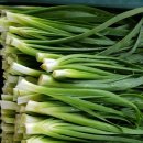 고승농장 이미지