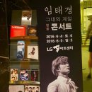 임태경 전국투어콘서트 그대의 계절 이미지