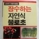 금성문화사 - 동구 백서로125번길 17 | 금성문화사