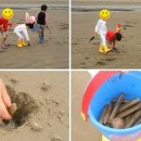 삼봉민박 이미지