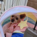 살롱드하츠 이미지