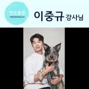 도그피아 애견 훈련 학교 이미지