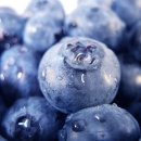 김순영 농장 | [국내산블루베리] 블루베리생과파는곳, 블루베리농장을 소개합니다.