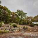 여주산촌관광농원 티스토리