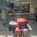 아리엘카스테라 | 오키나와 나하공항 면세점 쇼핑리스트 선물 추천 술 과자 로이스 도쿄바나나