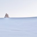 동원시장 이미지