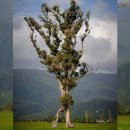 FROM AN IS 이미지