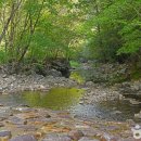 수룡봉황길 이미지