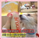 희망애견샵 | 건대 중국 밀크티 미쉐 MIXUE 새벽 3시까지 문여는 버블티 맛집 내돈내산 애견동반 후기
