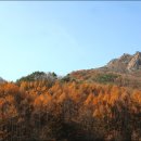 구봉산 Daum카페