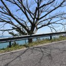 금오도별밤지기펜션 이미지