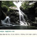 신황민박 이미지