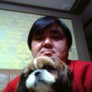 우리집강아지 이미지