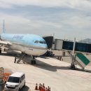 제주늘보의오후 | 혼자서도 괜찮았던 제주 동쪽 2박 3일 후기