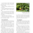 매네미 민박 이미지