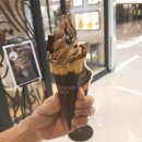 세이치즈데이