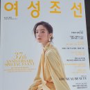 여성조선 카카오 검색결과