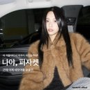 STEADY FIT | [패션코디/위시리스트] 야 겨울이다 너 아우터 뭐입을꺼야? (feat. 트리밍버드 트라움코트, 네모아 퍼자켓)