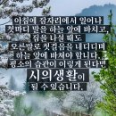효창동제1경로당 Daum카페