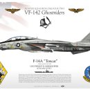 F14 이미지