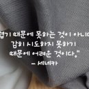 솜씨노리터 이미지