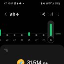짱유흥주점 이미지