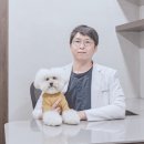 조형선외과동물병원 이미지