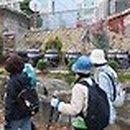 성내 1교 (밑) 이미지