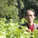 카페 아방가르드 이미지