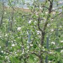 해뜨는농원 이미지