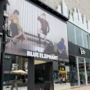 갤러리안경원 | 제주 블루 엘리펀트 칠성점 마치 갤러리 같은 곳 방문 후기