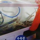 서송정길 이미지