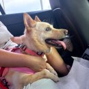 멍스퀘어 이미지