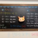 고양이부엌 이미지