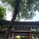 길상사 | 길상사 방문 후기(주차정보, 가을 꽃무릇)