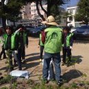 4월 11일 죽도초등학교에 나무에 보약주기와 무궁화심기 행사를 하였어요^^ 이미지